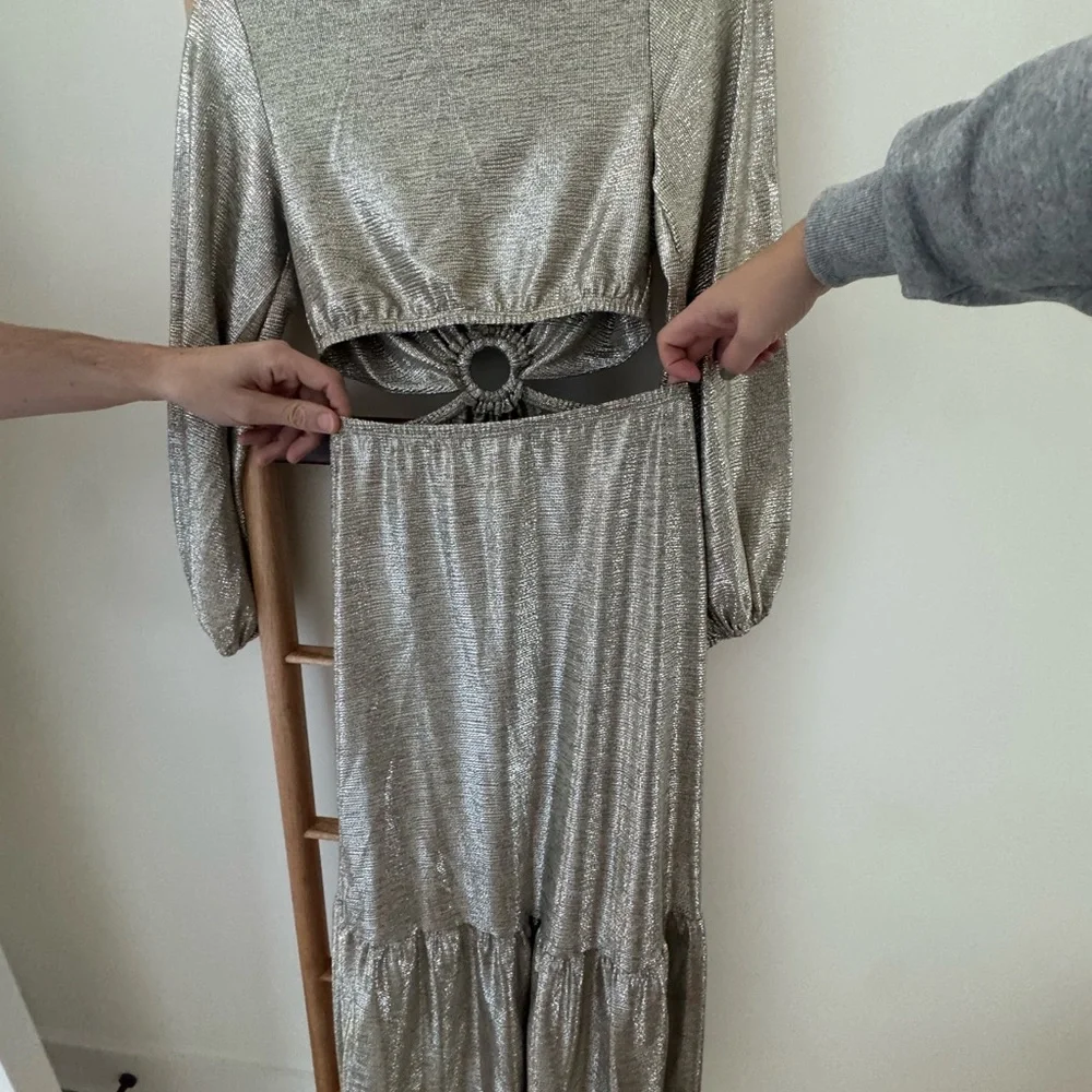 Elegant Silver Evening Dress - Picture 5 of 5